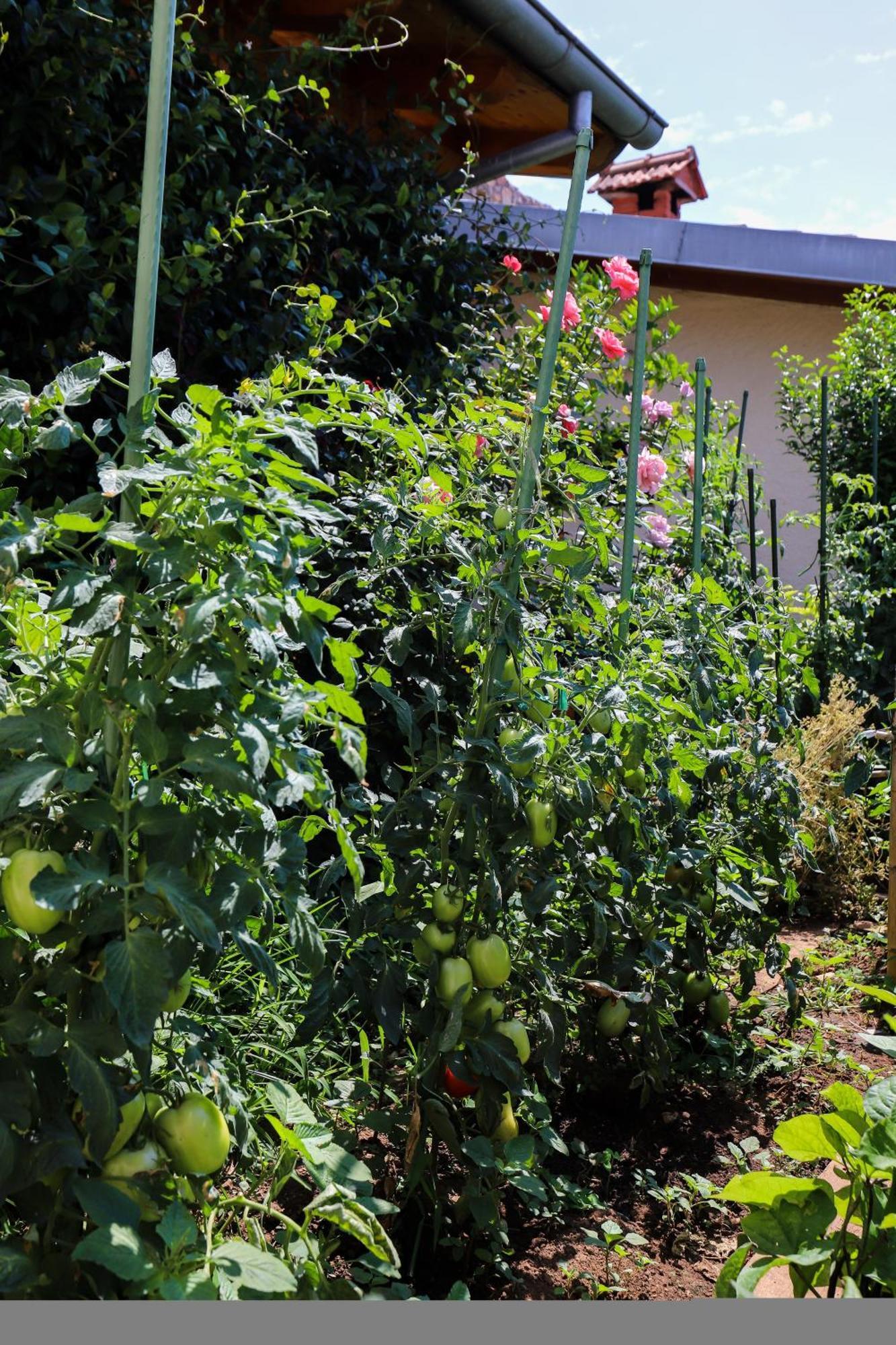 Apartment Garden M&M Dubrovnik Extérieur photo